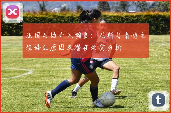 法国足协介入调查：尼斯与南特主场骚乱原因及潜在处罚分析