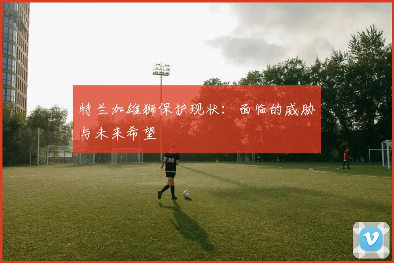 特兰加雄狮保护现状：面临的威胁与未来希望